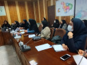 برگزاری کارگاه آموزشی مراقبت از نوزادان پرخطر جهت کارشناسان ناظر و مراقبین سلامت