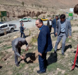 کاشت نهال توسط رییس و همکاران مرکز بهداشت شهرستان اراک به مناسبت  روز جهانی بهداشت با همکاری منابع طبیعی در دره گردشگری گردو