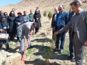 کاشت نهال توسط رییس و همکاران مرکز بهداشت شهرستان اراک به مناسبت  روز جهانی بهداشت با همکاری منابع طبیعی در دره گردشگری گردو