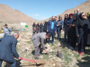 کاشت نهال توسط رییس و همکاران مرکز بهداشت شهرستان اراک به مناسبت  روز جهانی بهداشت با همکاری منابع طبیعی در دره گردشگری گردو