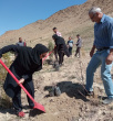 کاشت نهال توسط رییس و همکاران مرکز بهداشت شهرستان اراک به مناسبت  روز جهانی بهداشت با همکاری منابع طبیعی در دره گردشگری گردو