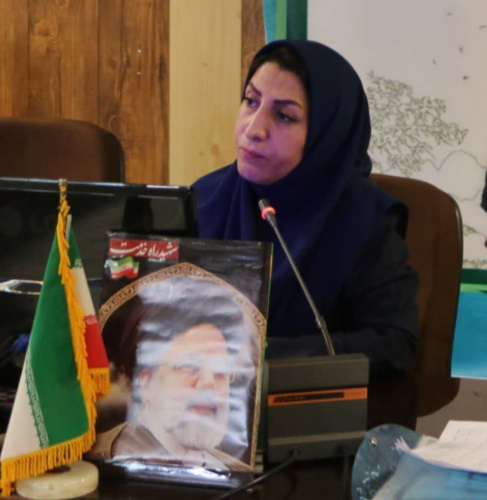 طبق آمار ۶۰ درصد از خانواده ها بی فرزند هستند و این باید اصلاح شود