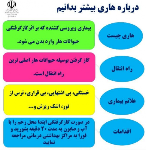 درباره هاری بیشتر بدانیم