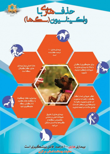 حذف هاری با واکسیناسیون (سگ)