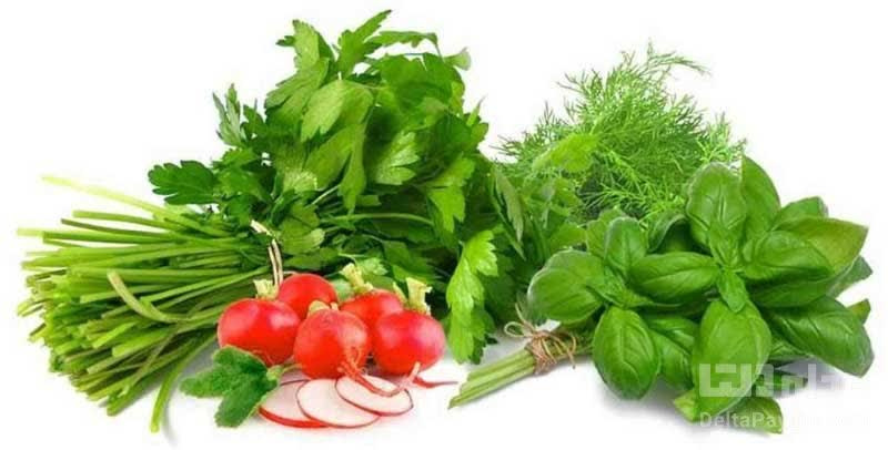 رفتار خود مراقبتی