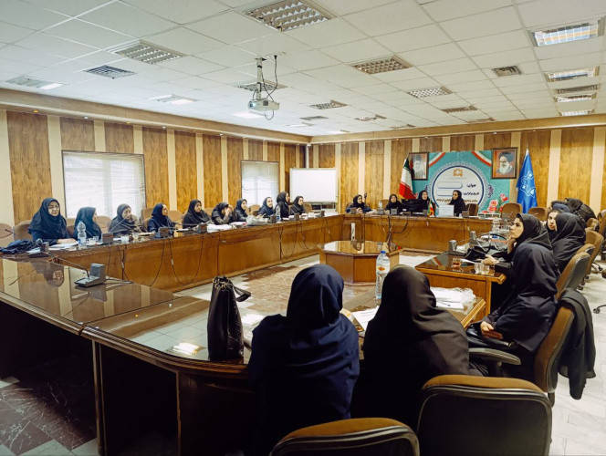 برگزاری دومین کمیته ترویج تغذیه با شیر مادر