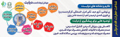 هفته ملی دیابت