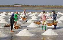 نمک دریا سم است