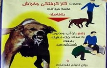 هاری یک بیماری عفونی خطرناک و صد در صد کشنده است