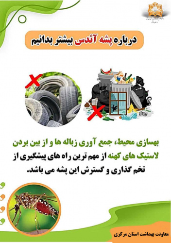 درمورد پشه آئدس بیشتر بدانیم