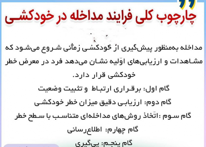 چارچوب کلی فرایند مداخله در خودکشی