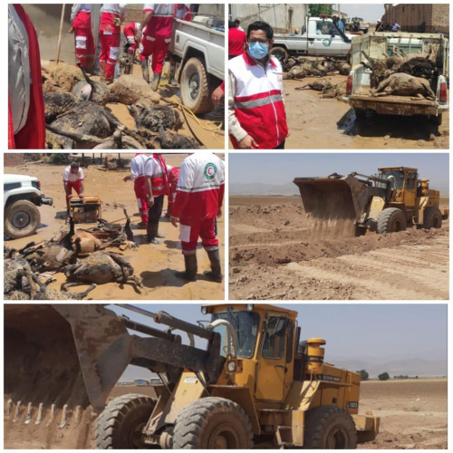 نظارت برروند دفع لاشه دام های تلف شده بر اثر سیل روز جمعه روستای آهنگران توسط همکاران بهداشت محیط مرکز بهداشت شهرستان فراهان ،استان مرکزی