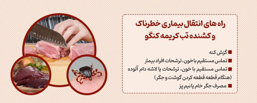 از بیماری تب کریمه کنگو چه می دانید ؟