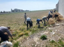 پاکسازی محیط زیست