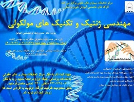 کارگاه مهندسی ژنتیک و تکنیک های مولکولی- مرکز تحقیقات بیماری های عفونی