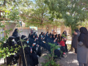 کارگاه آموزش سبزیکاری