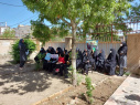 کارگاه آموزش سبزیکاری