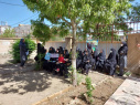 کارگاه آموزش سبزیکاری