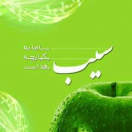 سامانه سیب