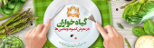گیاه خواران از مصرف مکمل ها غافل نشوند/رژیم های غیراصولی، سلامت گیاه خواران را تهدید می کند