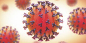 ناشر الزویر، مرکز اطلاعات علمی رایگان Novel Coronavirus را فراهم کرده است