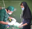 انجام خدمات دندانپزشکی تحت بیهوشی