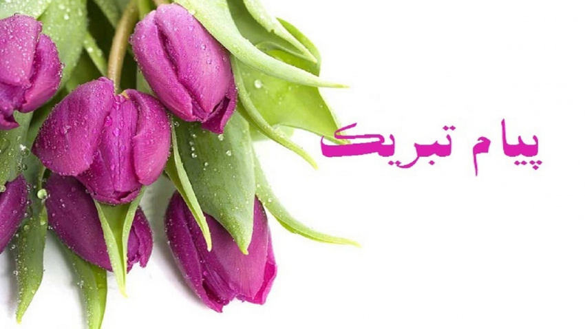 پیام تبریک ریاست دانشکده توانبخشی و معاون آموزشی دانشکده به مناسبت روز دانشجو
