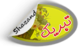 کسب عنوان پژوهشگر نمونه سرکار خانم نگین حسینی