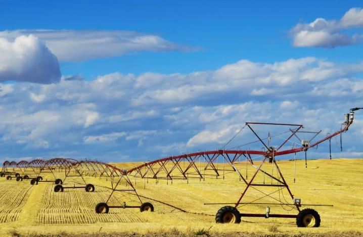 پیامدهای اقتصادی هوش مصنوعی در بخش کشاورزی