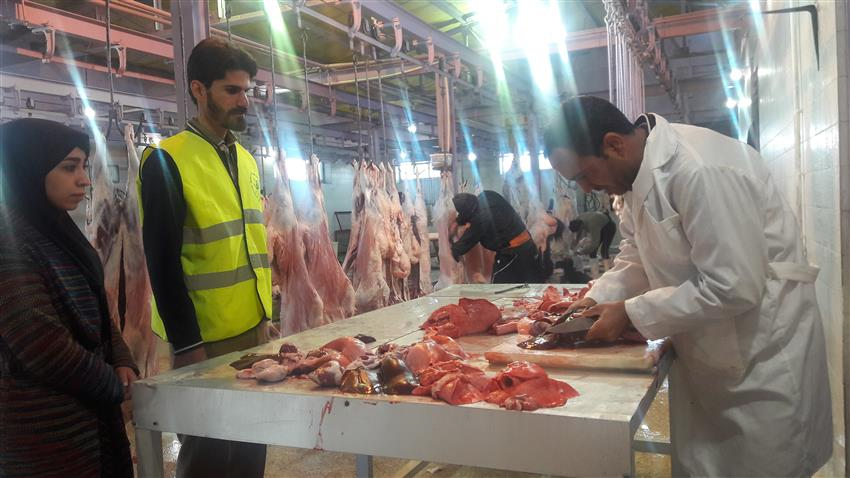 بازدید بهداشتی از کشتارگاه