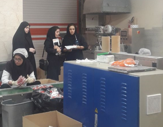 بازدید کارشناسان بهداشت حرفه ای