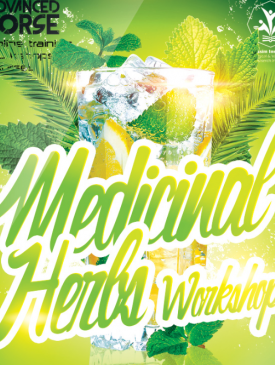 Herb Plant Workshop