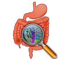 پاکسازی کامل روده با مواد طبیعی و روش های گیاهی توصیه شده در طب سنتی