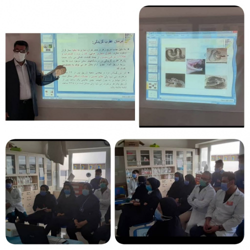 کلاس آموزشی درمان عقرب و مارگزیدگی برای پزشکان در بیمارستان