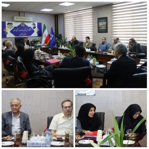 بررسی ظرفیت‌های دانشگاه علوم پزشکی اراک برای راه‌اندازی دستیاری گوش، گلو، بینی و جراحی سر و گردن