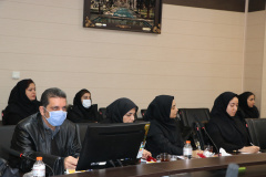 چهارمین جلسه ستاد توزیع دارو در استان