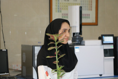 تقدیر از پرسنل آزمایشگاه کنترل مواد غذایی به مناسبت روز علوم آزمایشگاهی