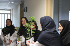 تقدیر از پرسنل آزمایشگاه کنترل مواد غذایی به مناسبت روز علوم آزمایشگاهی