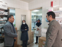 بازدید نوروزی معاون غذا و دارو دانشگاه از شبکه بهداشت و درمان و داروخانه های خصوصی دلیجان