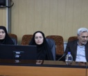 برگزاری کارگروه استانی حمایت از بیماران خاص و صعب‌العلاج در دانشگاه علوم پزشکی اراک