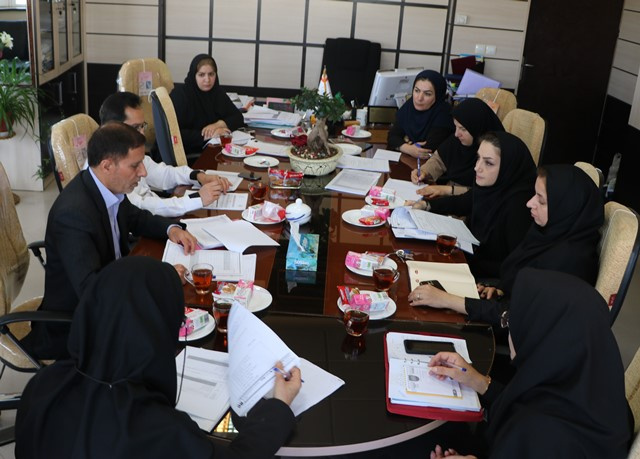 کمیته پایش برنامه عملیاتی معاونت غذا و دارو اراک