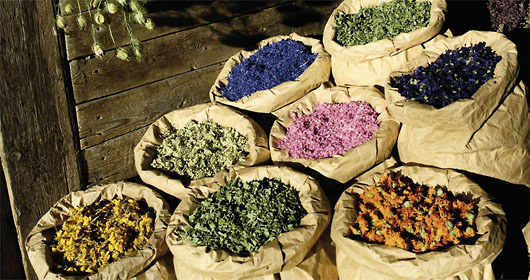 عطاری ها، مجاز به تجویز داروهای گیاهی و ترکیبی نیستند