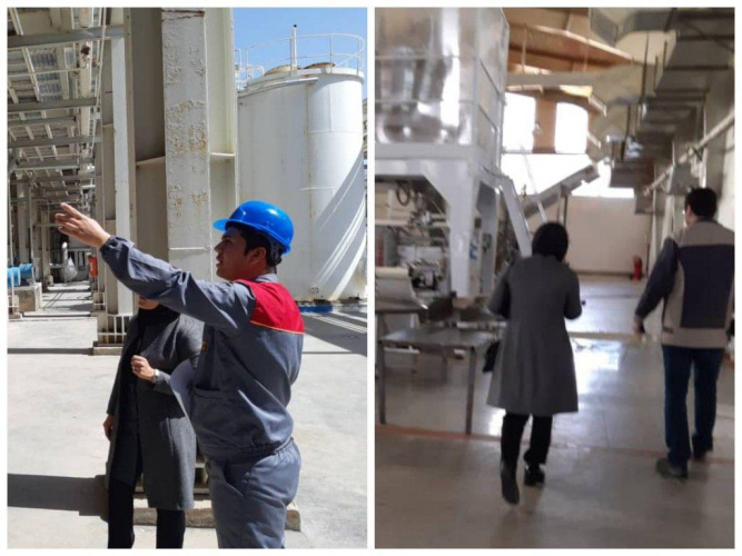 بازرسی از واحد تولید مواد غذایی(پاپ کورن در شهرستان مامونیه) و پتروشیمی مامونیه و نمونه برداری از محصولات در اولین روز کشیک نوروزی