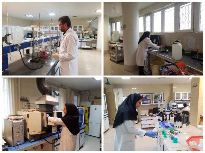 بیش از۲۰۰ نمونه پذیرفته شده در ایام نوروز در آزمایشگاه کنترل مواد غذایی اراک