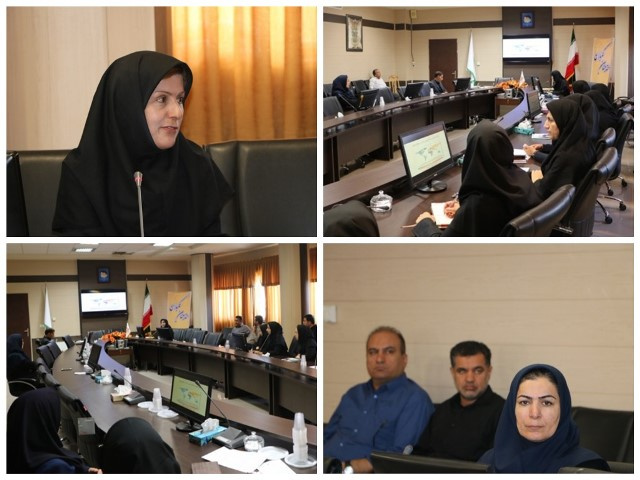 برگزاری کارگاه آموزشی بسیج ملی کاهش فشار خون