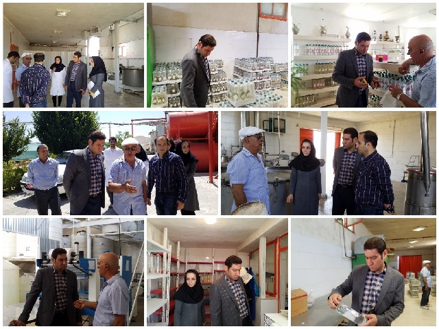 بازدید معاون غذا و دارو از کارخانه گلاب سارو اراک