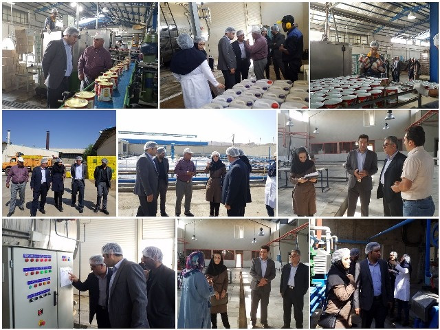 بازدید معاون غذا و دارو اراک از دو کارخانه فرآوردهای غذایی و پروتئینی شهرستان محلات