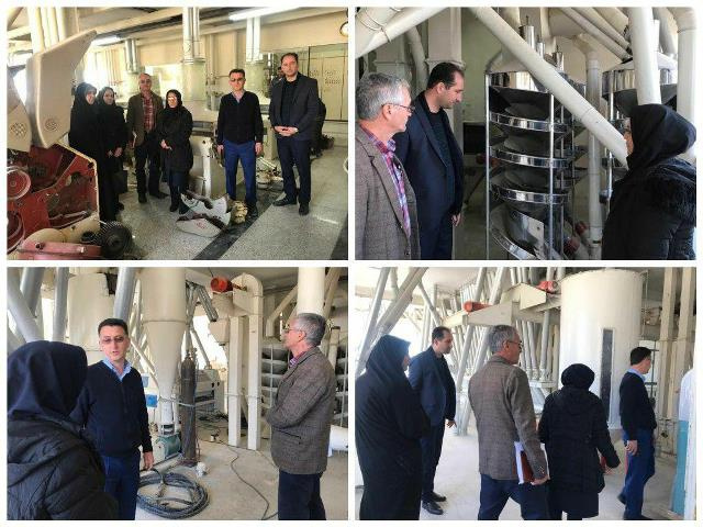 بازدید مشترک از کارخانجات آرد شهر اراک