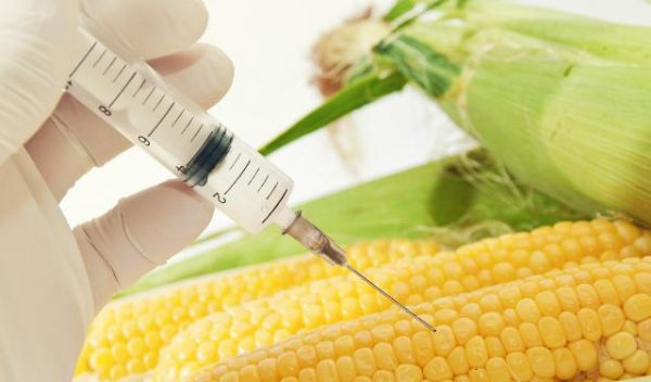 آنچه باید در مورد محصولات تراریخته بدانیم: