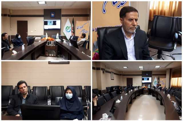جلسه ویدیو کنفرانس معاونین قطب کشور با حضور مدیرکل دارو و مواد تحت کنترل سازمان غذا و دارو